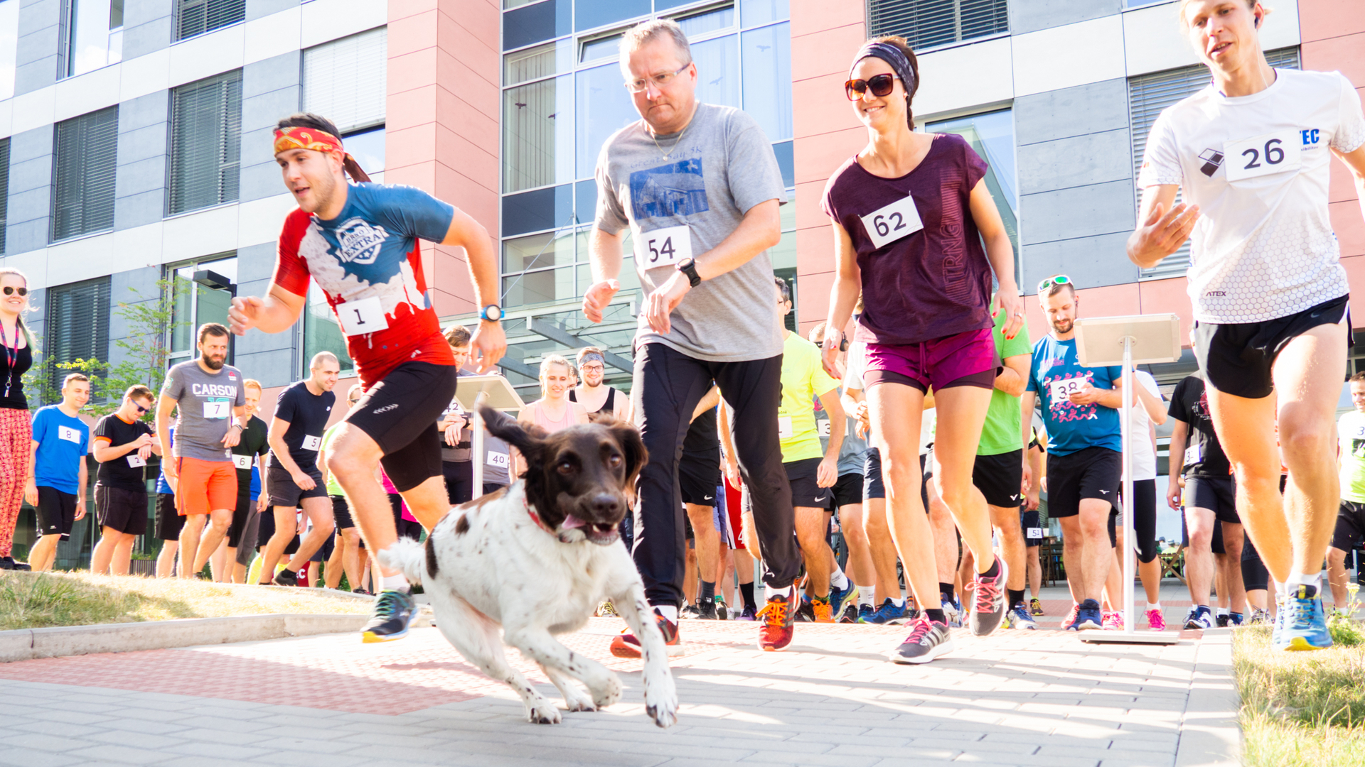 Běh má smysl! Prázdninový JIC RUN 2019 přispěje na dobrou věc